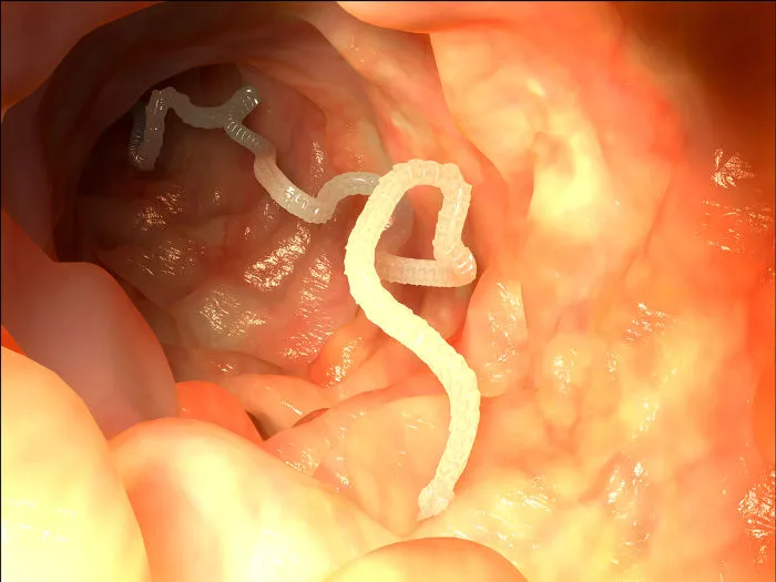 Parásitos Intestinales
