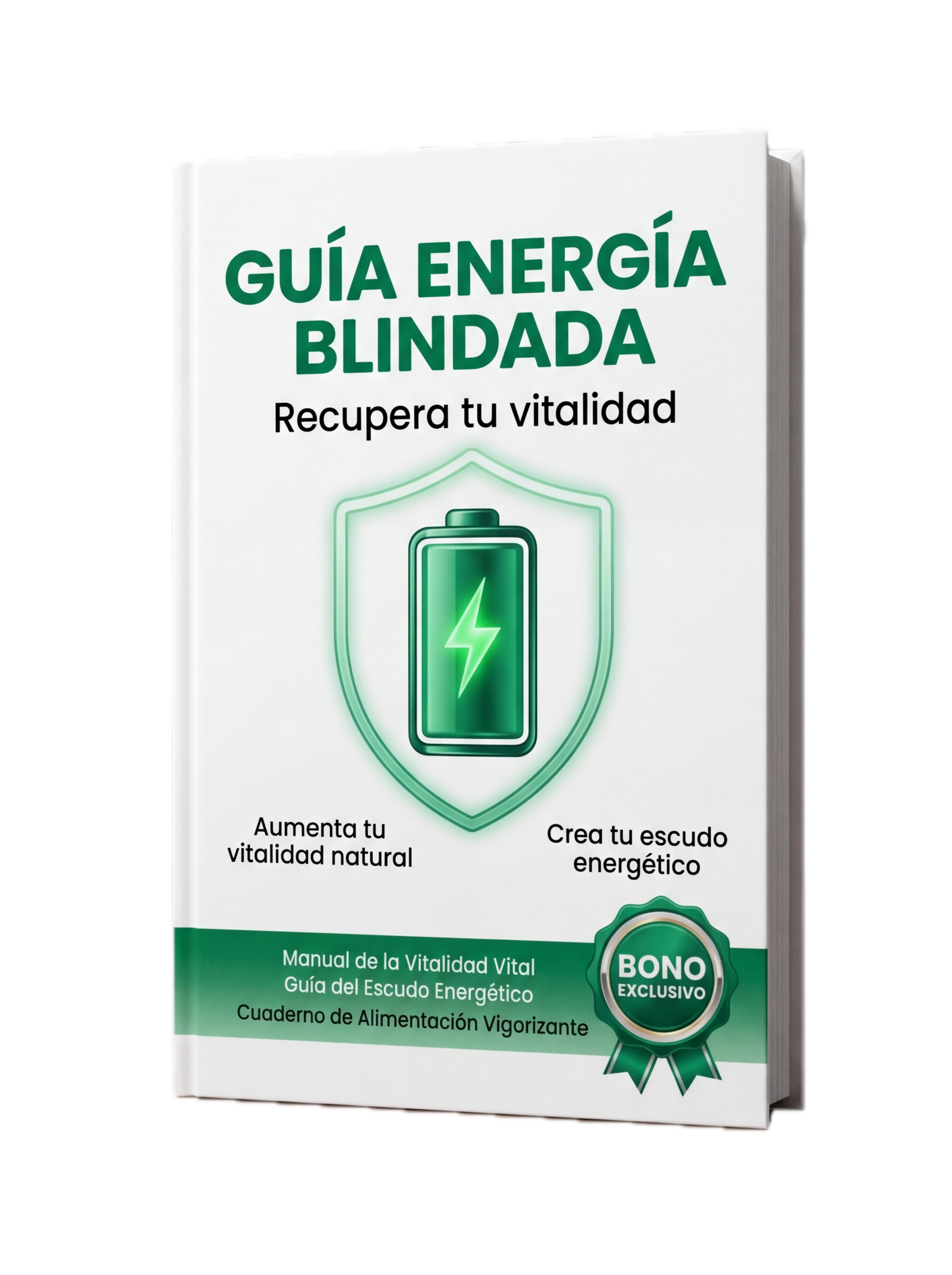 Guía de Mantenimiento y Energía Blindada